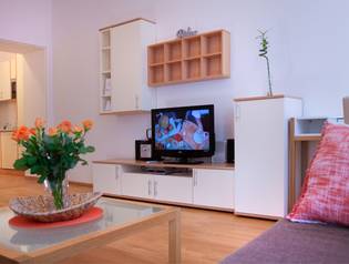 1 BHK Apartment Vienna - Suite Style - 