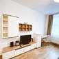 Business Apartment Vienna - Two Room Apartment - Apartment-Wien-Riess-Trambauerstrasse-Double-41-Wohnzimmer-1.jpeg